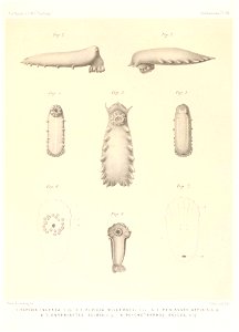 n694_w1150