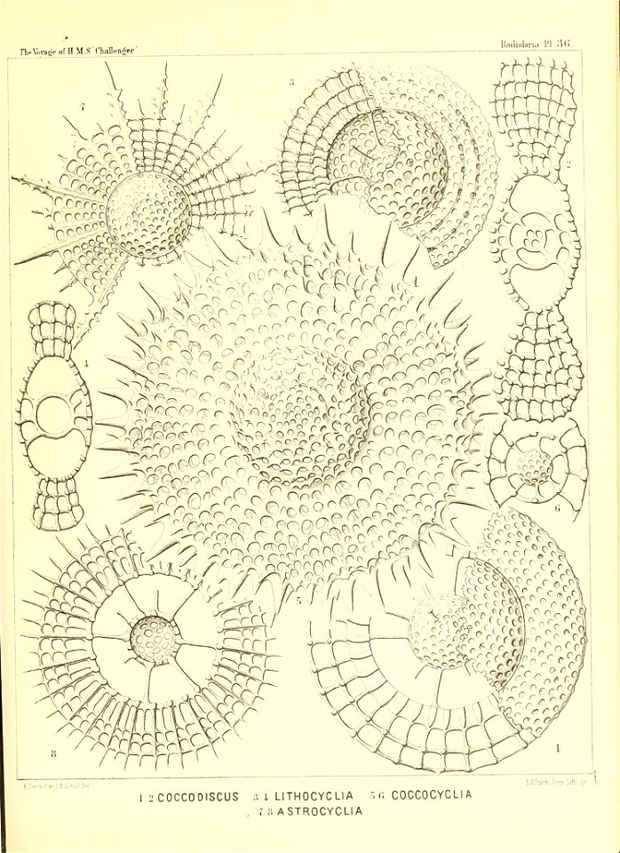 n154_w1150