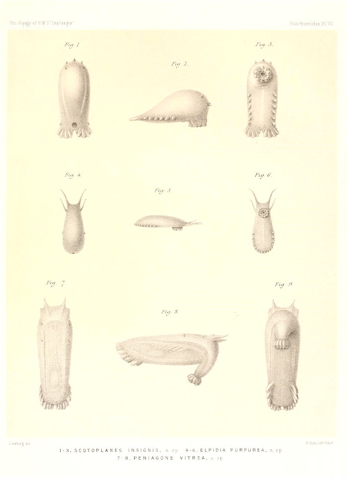n692_w1150