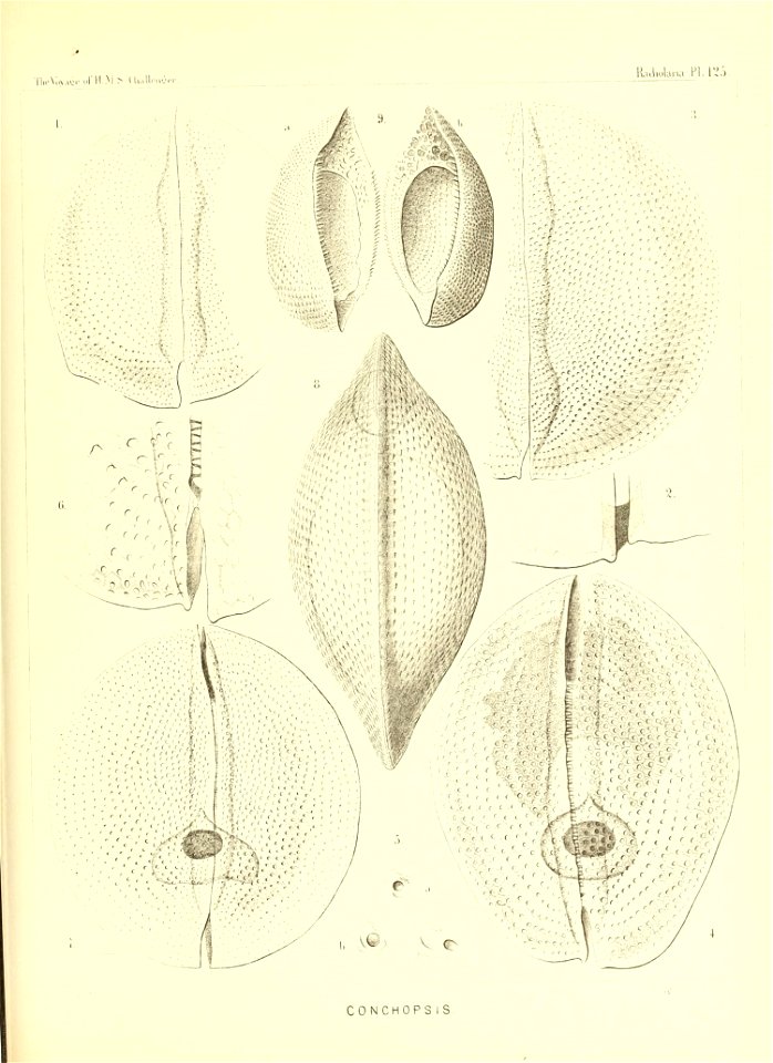 n510_w1150