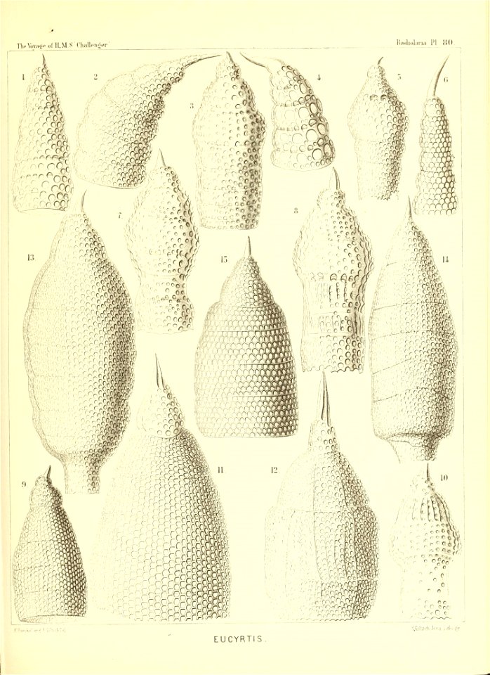 n330_w1150