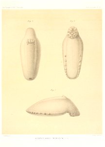 n690_w1150