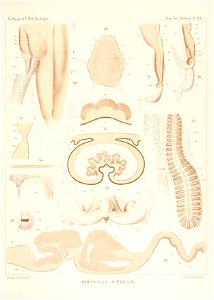 n466_w1150