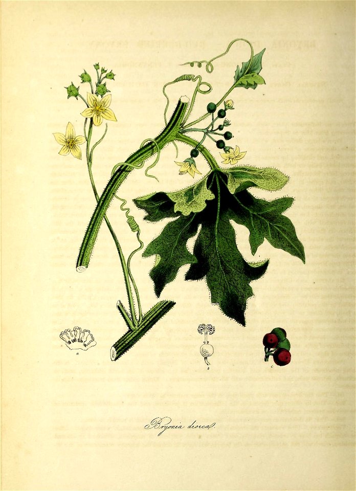 n241_w1150