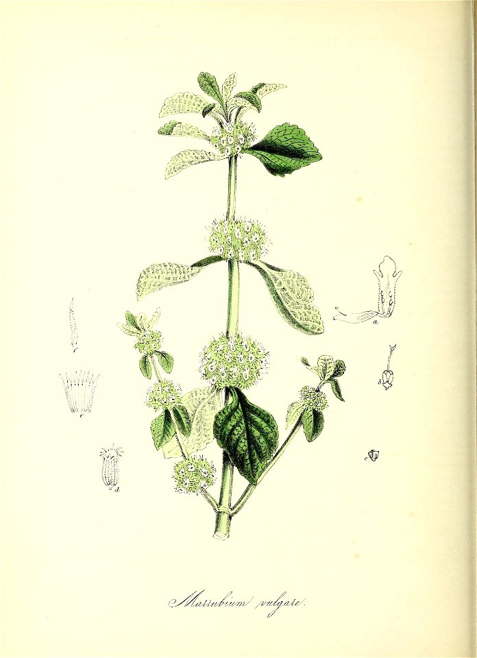 n121_w1150