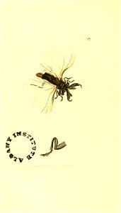 n203_w1150