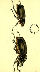 n162_w1150