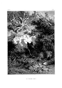 n110_w1150