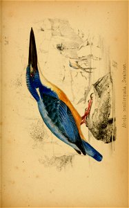 n166_w1150