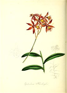 n157_w1150
