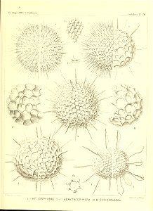 n114_w1150