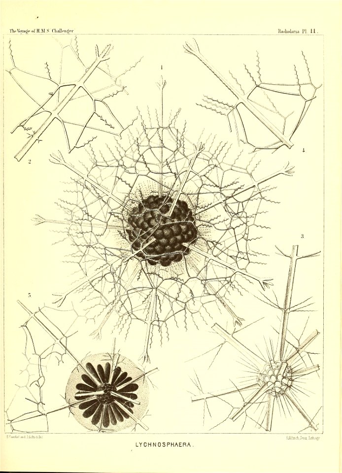 n54_w1150