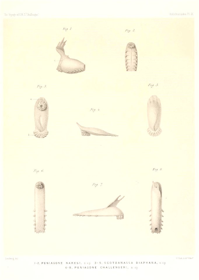 n696_w1150