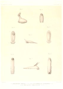 n696_w1150