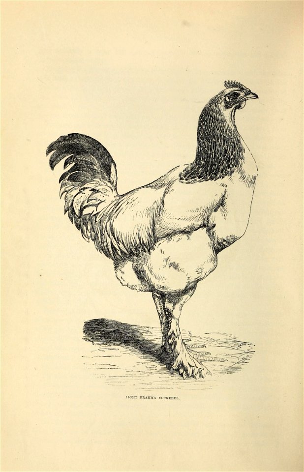 n101_w1150