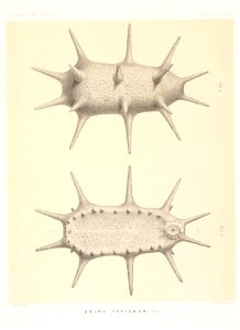 n718_w1150