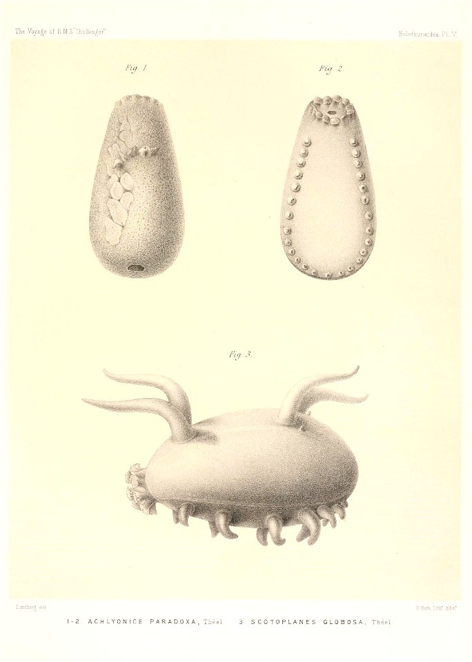 n688_w1150