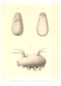 n688_w1150