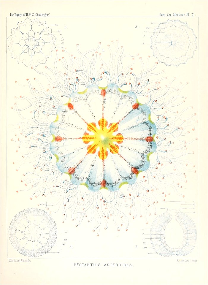 n402_w1150