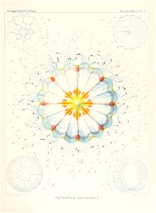 n402_w1150