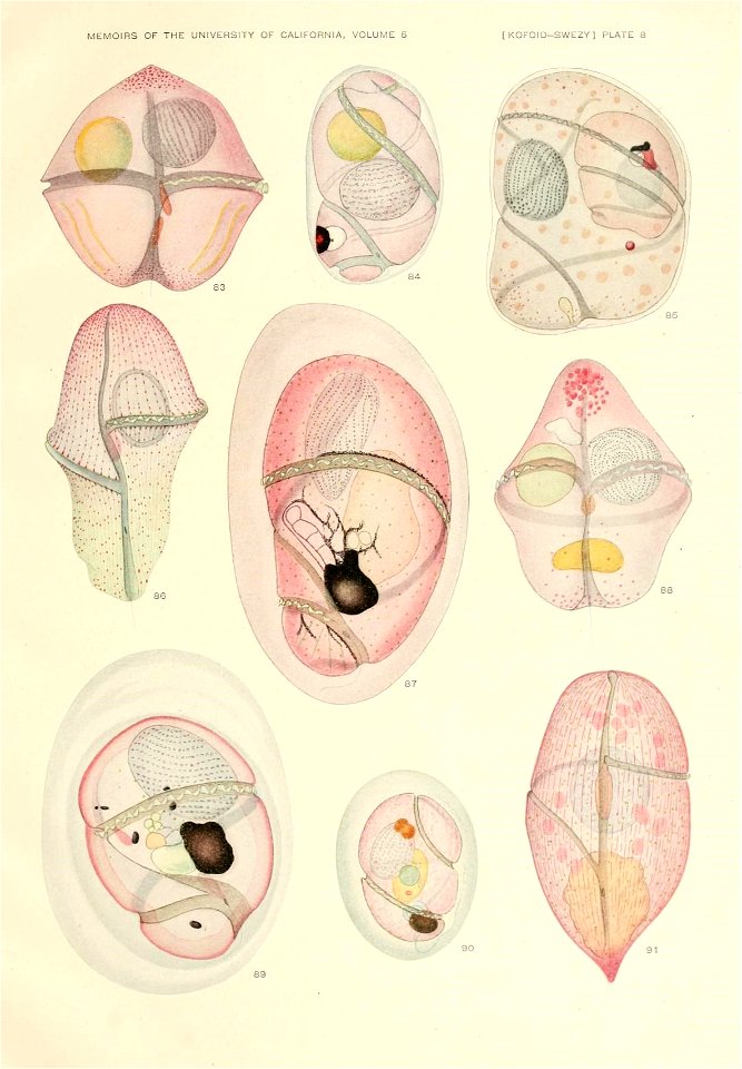 n582_w1150
