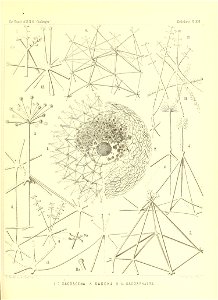 n442_w1150