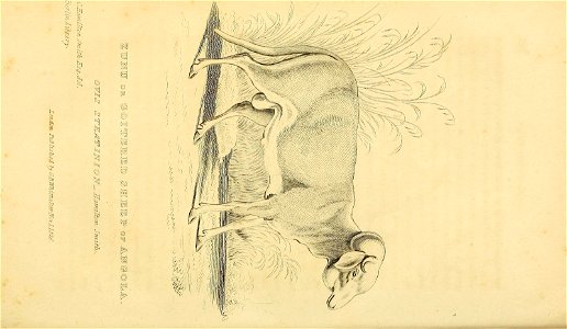 n413_w1150