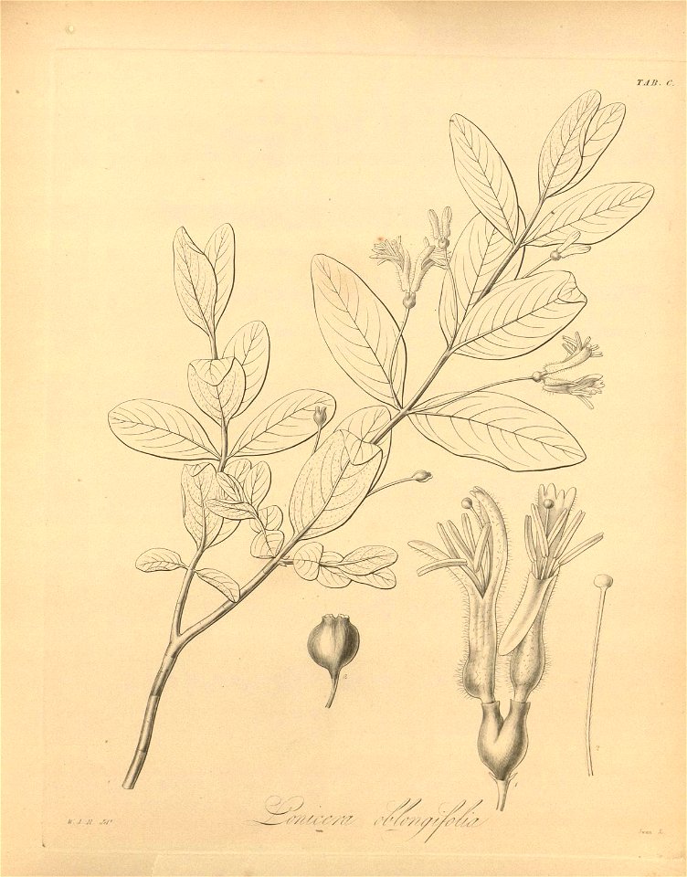 n469_w1150