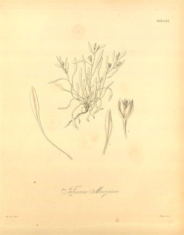 n439_w1150