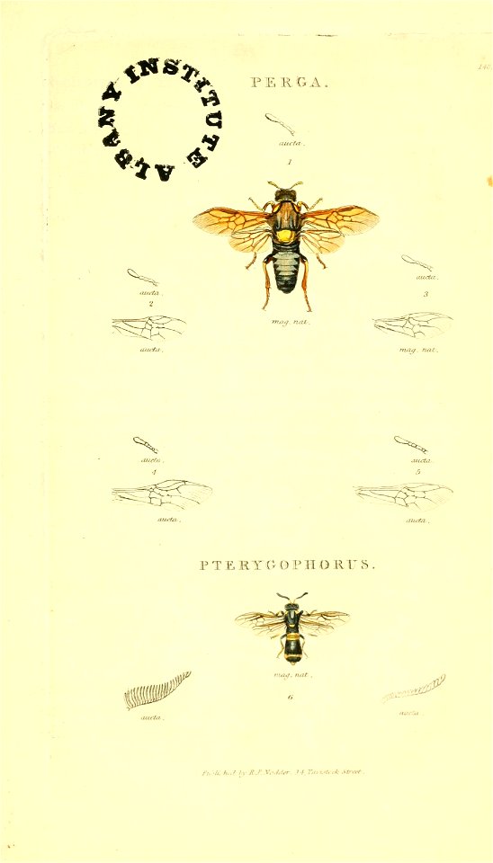 n182_w1150