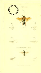 n182_w1150
