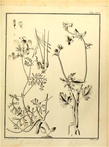 n548_w1150