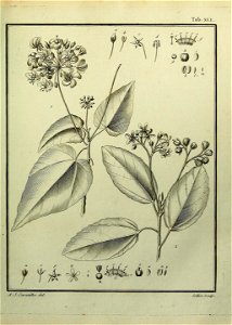 n308_w1150
