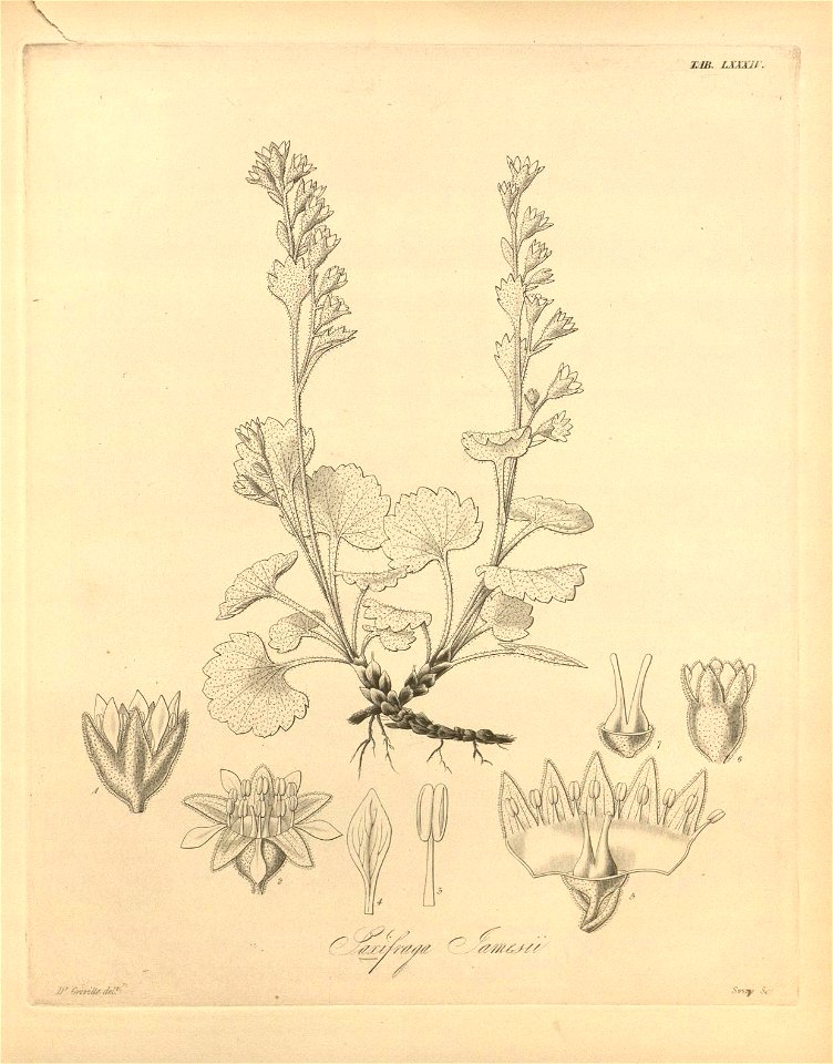 n453_w1150