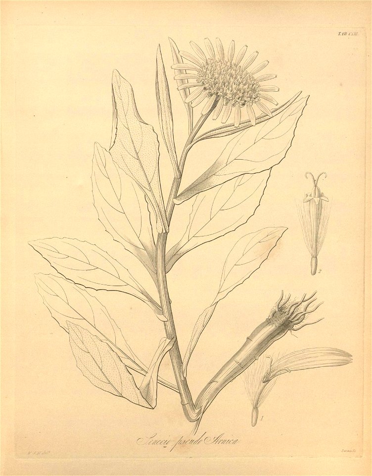 n482_w1150