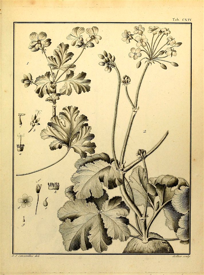 n544_w1150