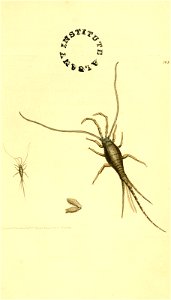 n122_w1150