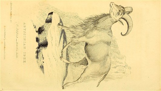 n379_w1150