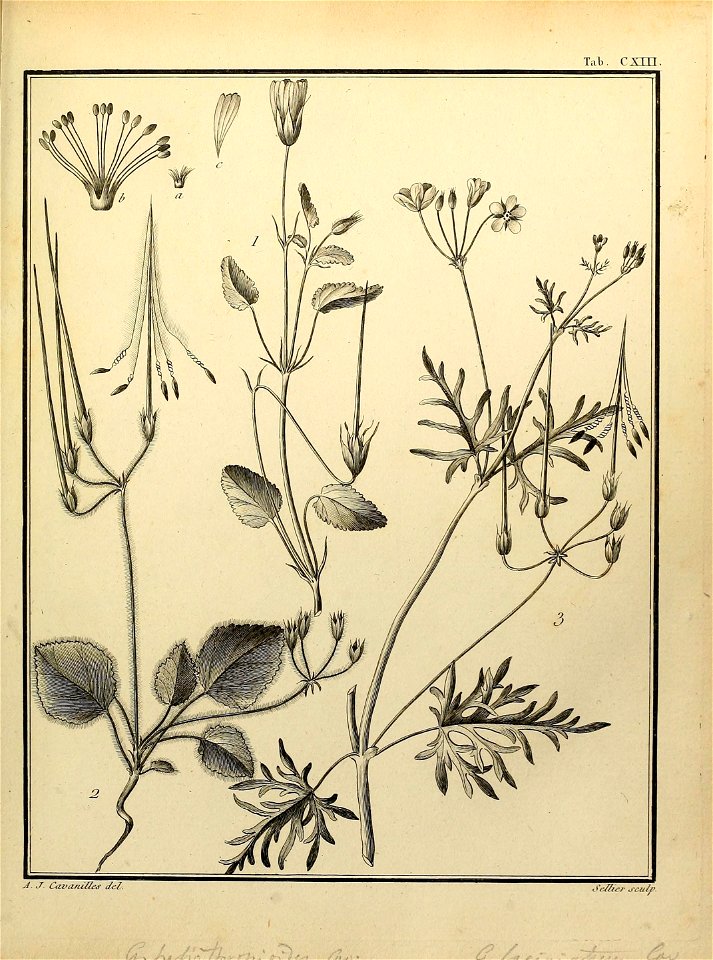 n542_w1150