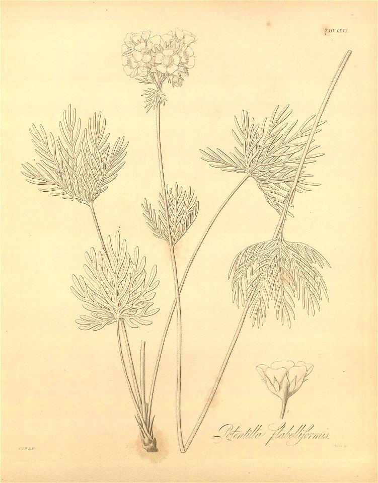 n435_w1150