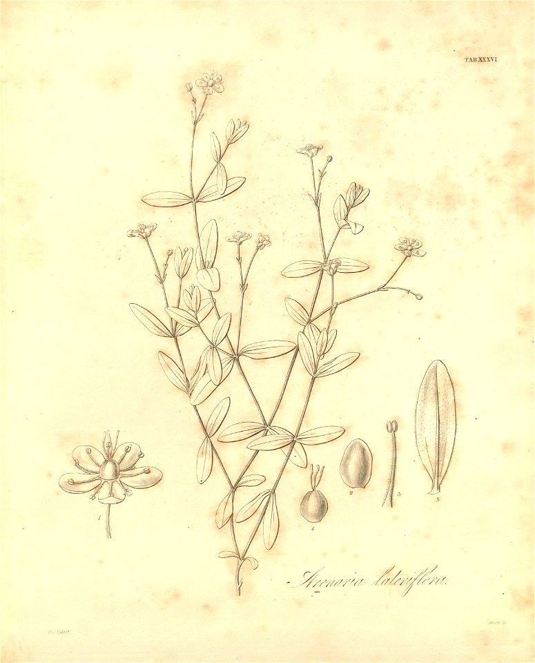 n405_w1150