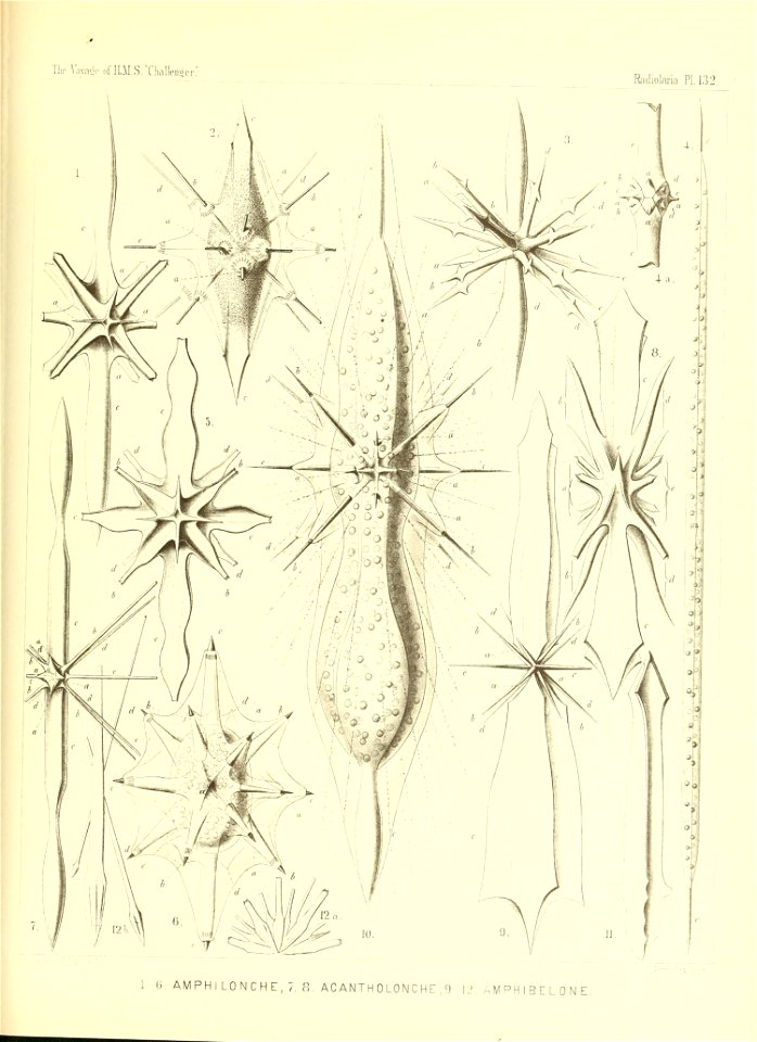 n538_w1150