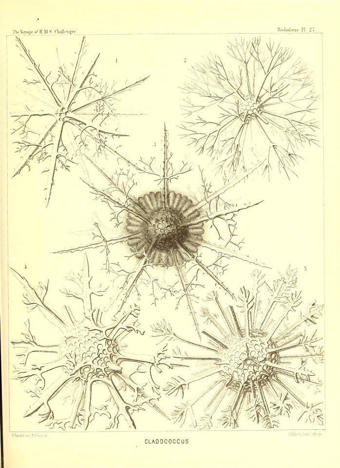 n118_w1150
