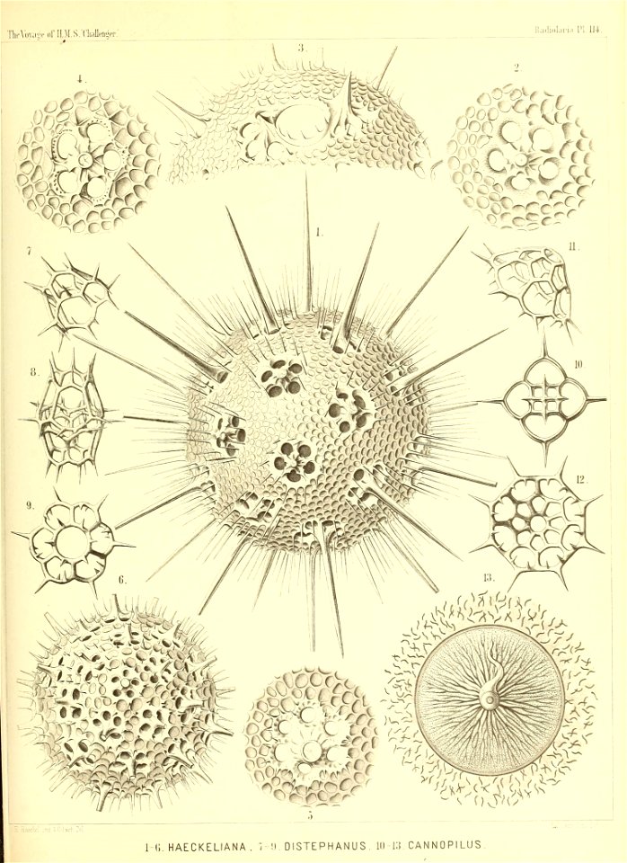 n466_w1150