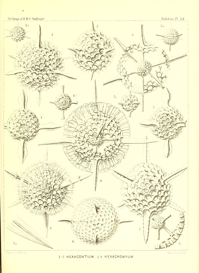 n106_w1150
