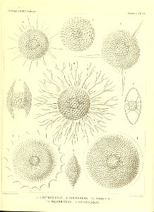 n142_w1150