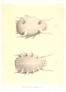 n686_w1150