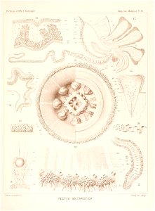 n398_w1150