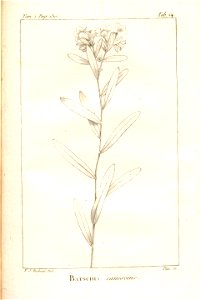 n155_w1150