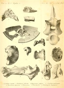 n136_w1150
